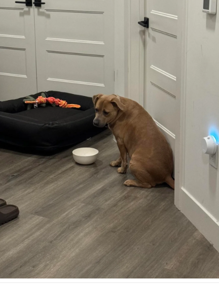 Her First Night Was Heartbreaking… 24 Hours Later, Everything Changed