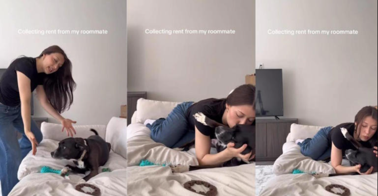 “Rent Time!” And the Dog Knows Exactly What That Means