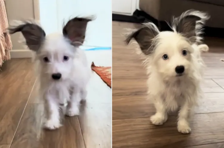“She Never Grew Into Them”… But She Grew Into a Heart