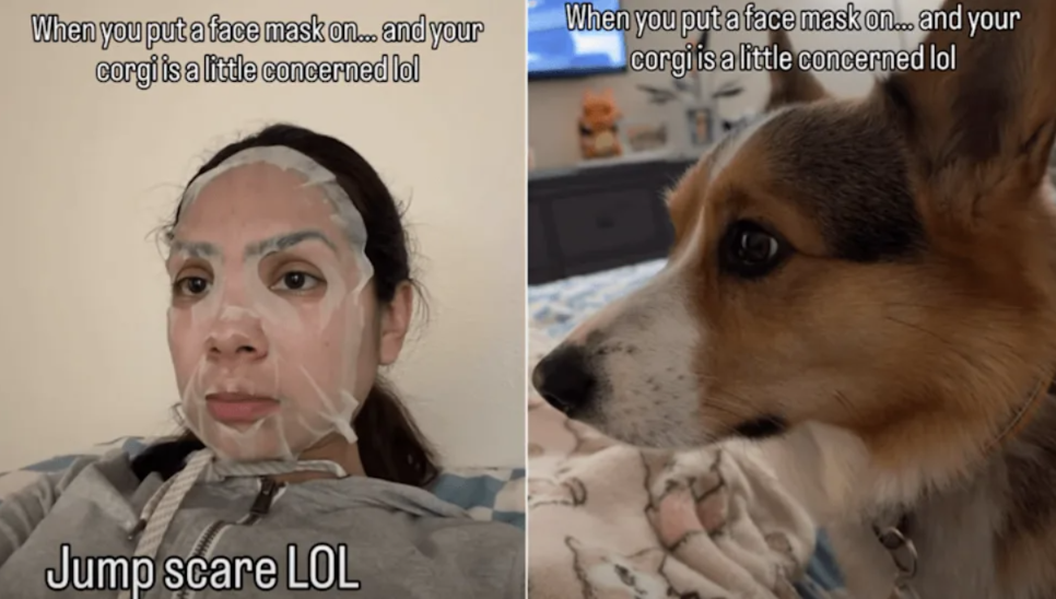 When Your Dog Thinks Something Is Wrong (But It’s Just You)