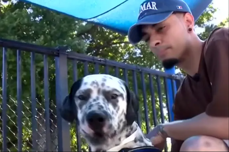 A Gas Station Dog, a Viral Video, and One Life-Changing Decision