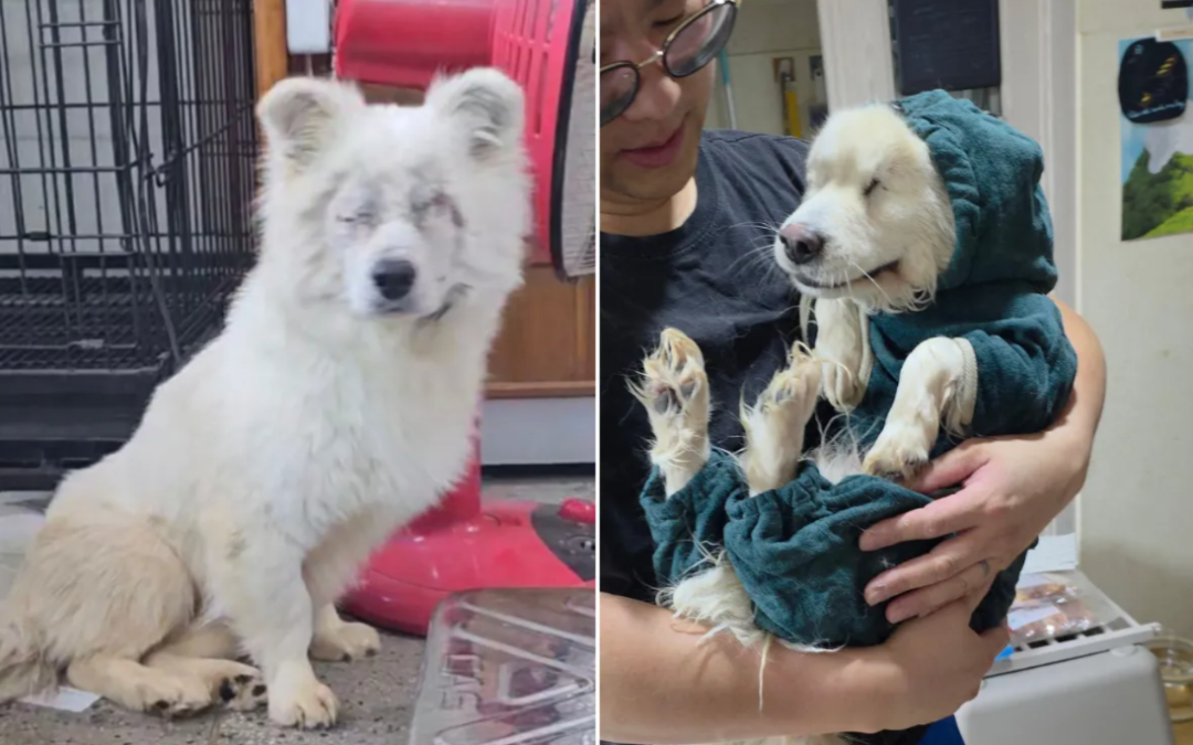 He Lost His Sight… But Not His Chance at Love