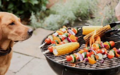 The Backyard BBQ Mistake That Could Hurt Your Dog