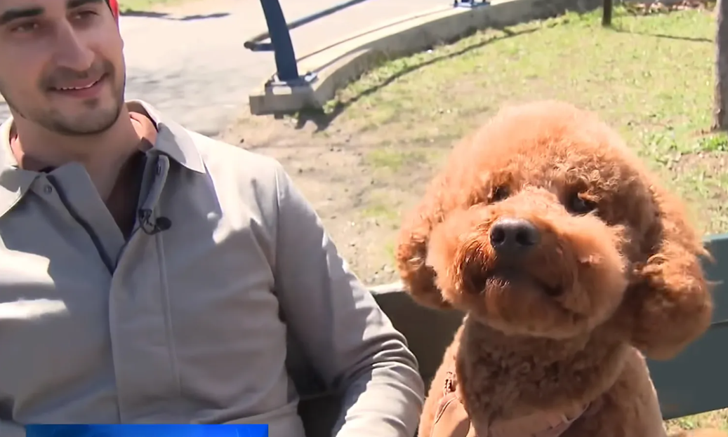 A Dog Ran Into The Charles River On Marathon Day… And His Owner Made A Life-Or-Death Jump Behind Him