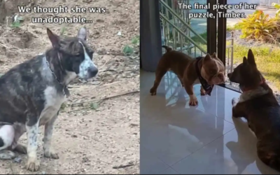 From Alone to Always Together—A Friendship That Changed Everything