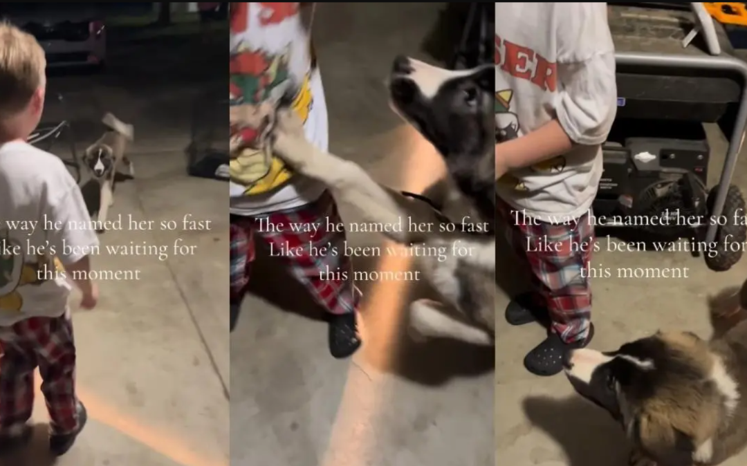 When A Name Clicks Instantly — And A Dog Can’t Stop Waggling