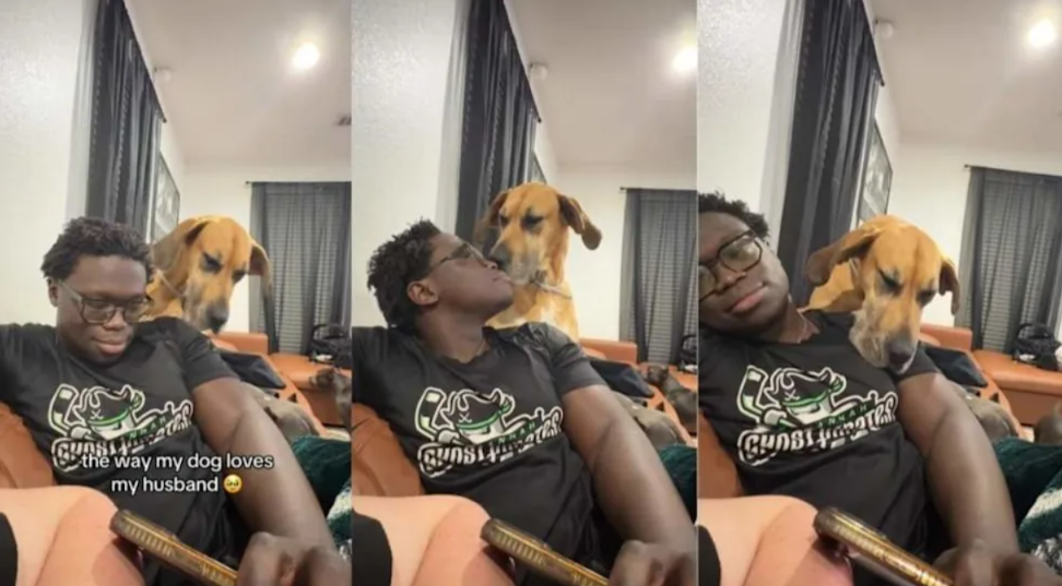 This Giant Rescue Dog’s Love For Her Dad Is On Another Level