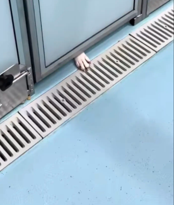 She Didn’t Bark — She Just Reached Out For Someone To See Her