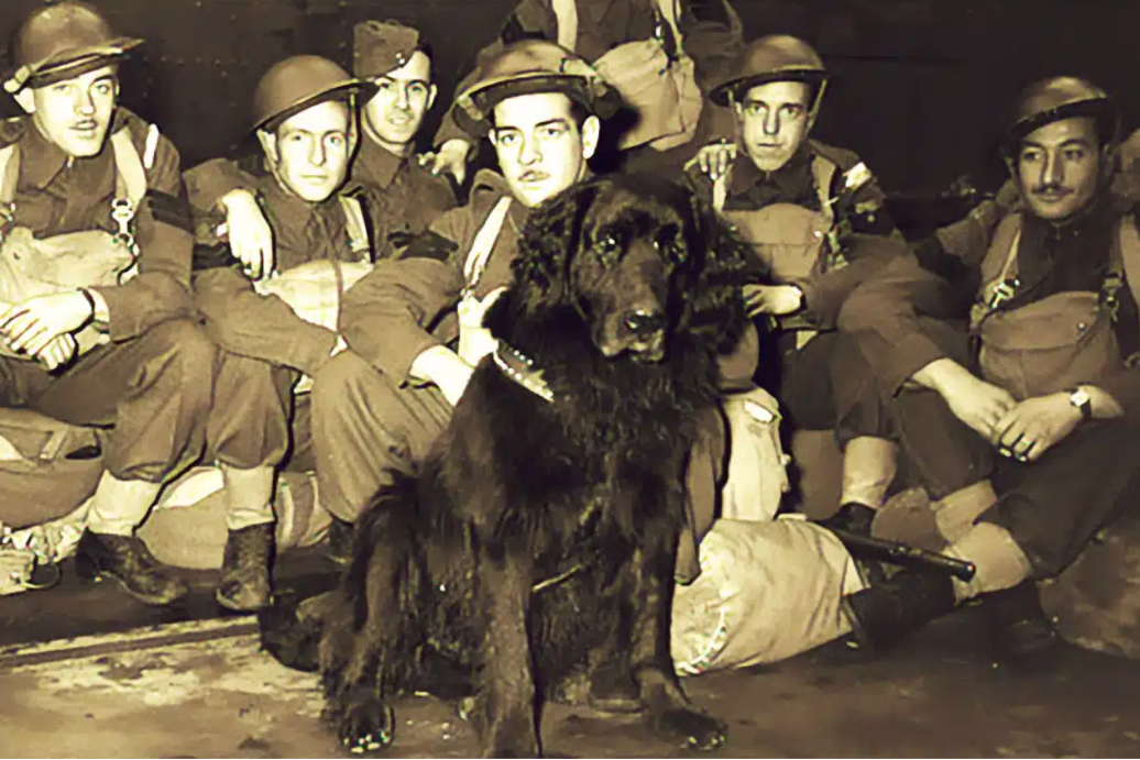 George Gander They Called Him Sergeant Gander… And His Final Act Became Legend - The ...