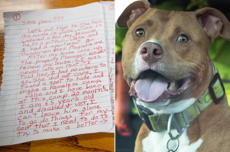 A Homeless Veteran Left His Dog At A Fire Station… And Both Ended Up Getting A Second Chance At Life
