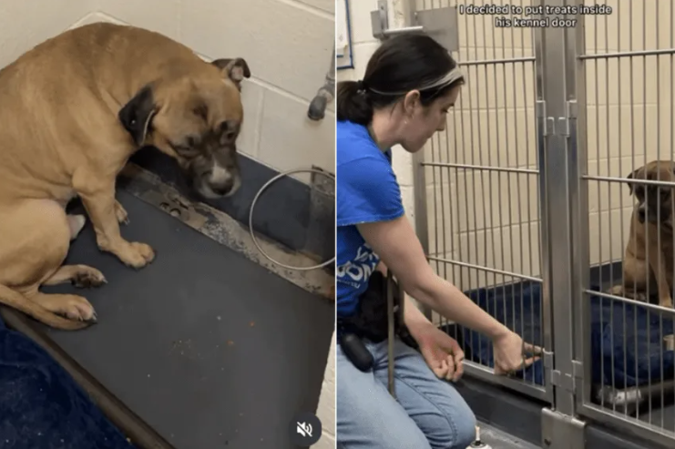 He Lost His Home — But Found Trust Again In The Most Unexpected Way