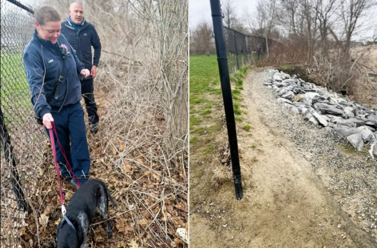 This Dog Got Stuck In A Muddy Marsh… And Firefighters Didn’t Hesitate To Go In After Him
