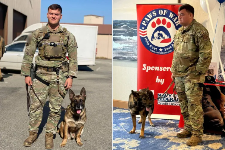 After 6 Long Years Apart, A Military Handler Finally Got The One Dog He Never Stopped Waiting For