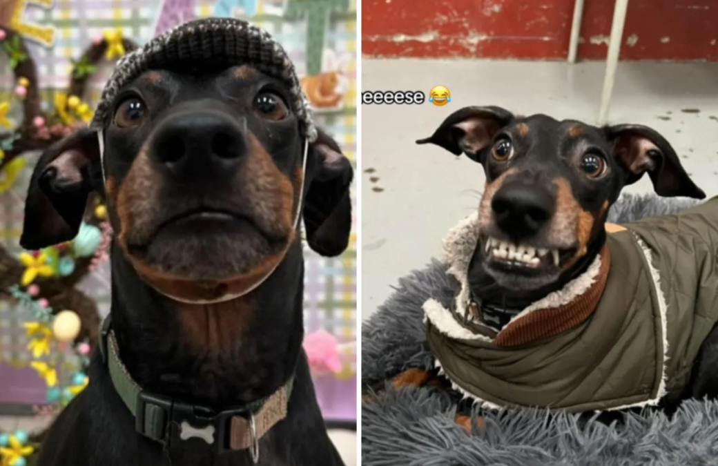 The Daycare Photos She Didn’t Expect to See
