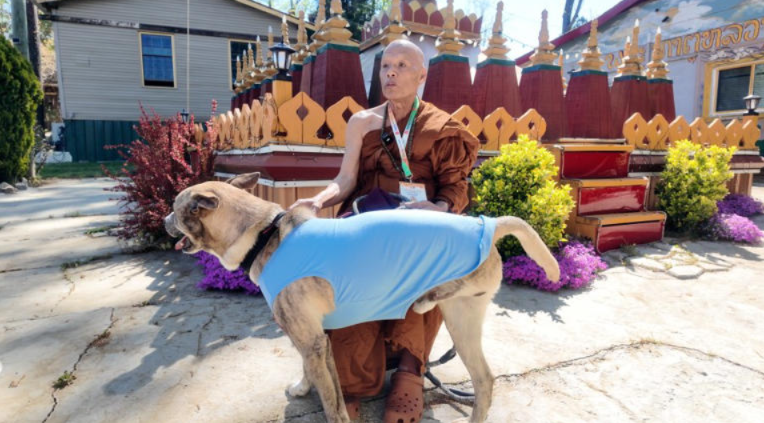 “Monk’s Best Friend” — The Unexpected Bond Between A Man And A Rescue Dog