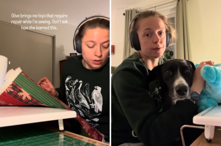 Rescue Dog Interrupts Sewing Sessions For The Cutest Reason Ever