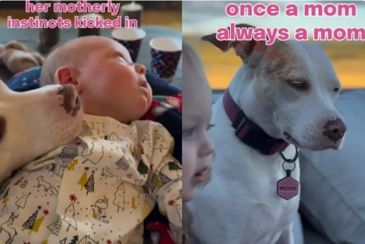 She Couldn’t Hear Them — But She Recognized Family Instantly