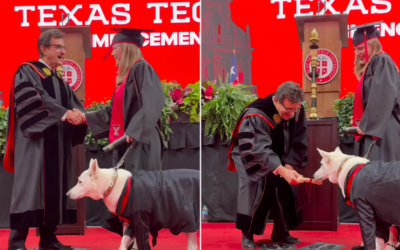 This Dog Earned Her Graduation Walk and It’s Melting Our Hearts