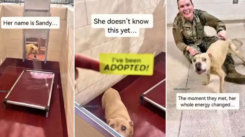 No One Came for Her… Until One Woman Did