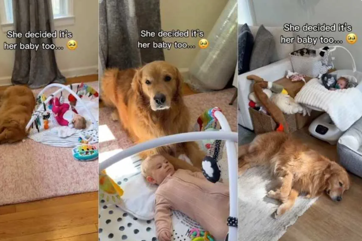 She Saw the Baby… And Made a Decision Instantly