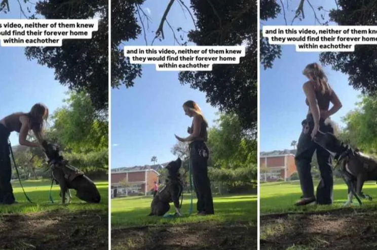 It Was Supposed To Be Temporary—Until This Rescue Dog Started Calling Her “Mom”