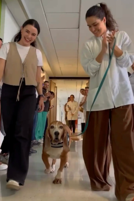 A Therapy Dog’s Goodbye No One Could Stay Quiet For