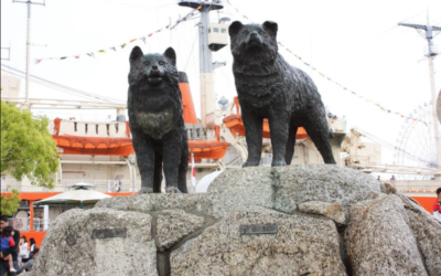11 Months In The Ice: The Impossible Survival Of Taro And Jiro
