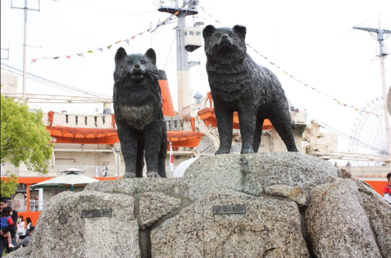 11 Months In The Ice: The Impossible Survival Of Taro And Jiro