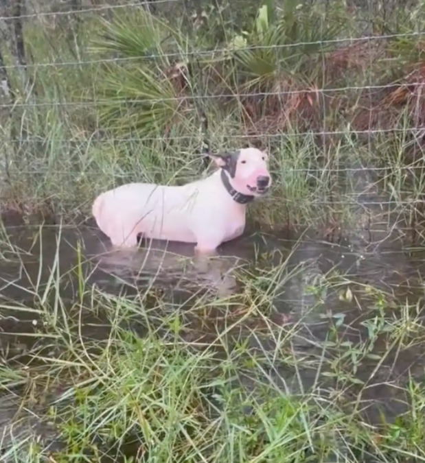 A State Trooper Walked Into Rising Floodwaters… And Made A Life-Changing Rescue