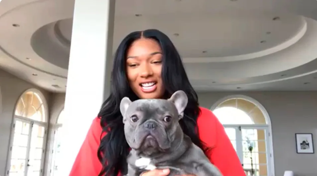 Megan Thee Stallion’s Rescue Dog Goes From Shelter to Stardom