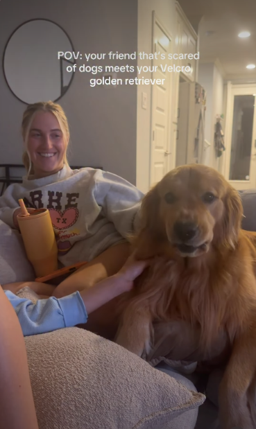 Woman Afraid of Dogs Meets One Golden Retriever—And Everything Changes
