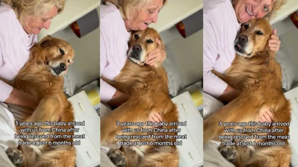 His Past Was Dark… But His New Life Is Pure Comfort And Care