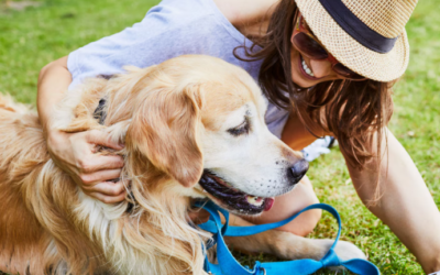 The Ultimate Guide To Surviving Festival Season With Your Dog