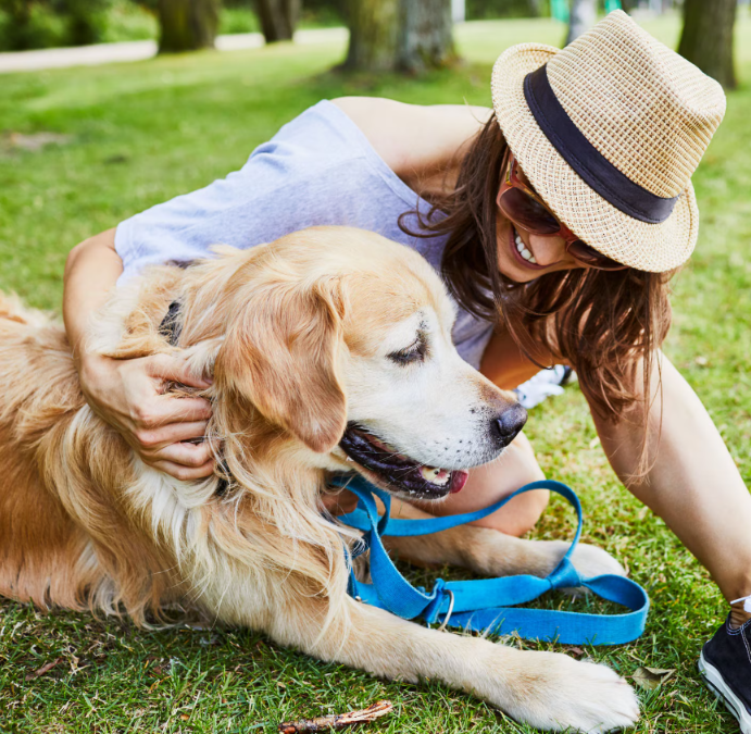 The Ultimate Guide To Surviving Festival Season With Your Dog