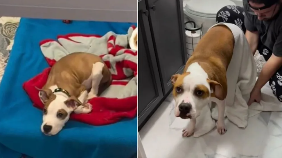 One Second He Was Waiting… Then Everything Changed Forever
