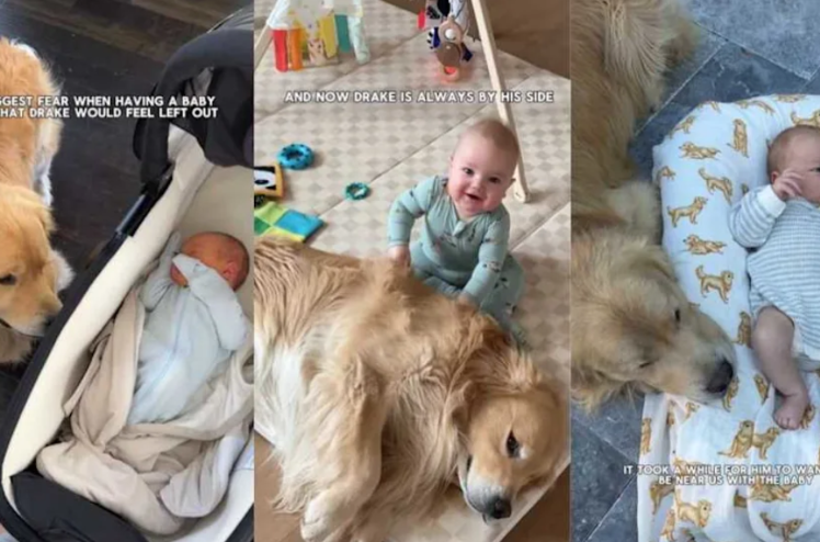 A Baby, A Dog, And A Bond That Melted A Mother’s Biggest Fear