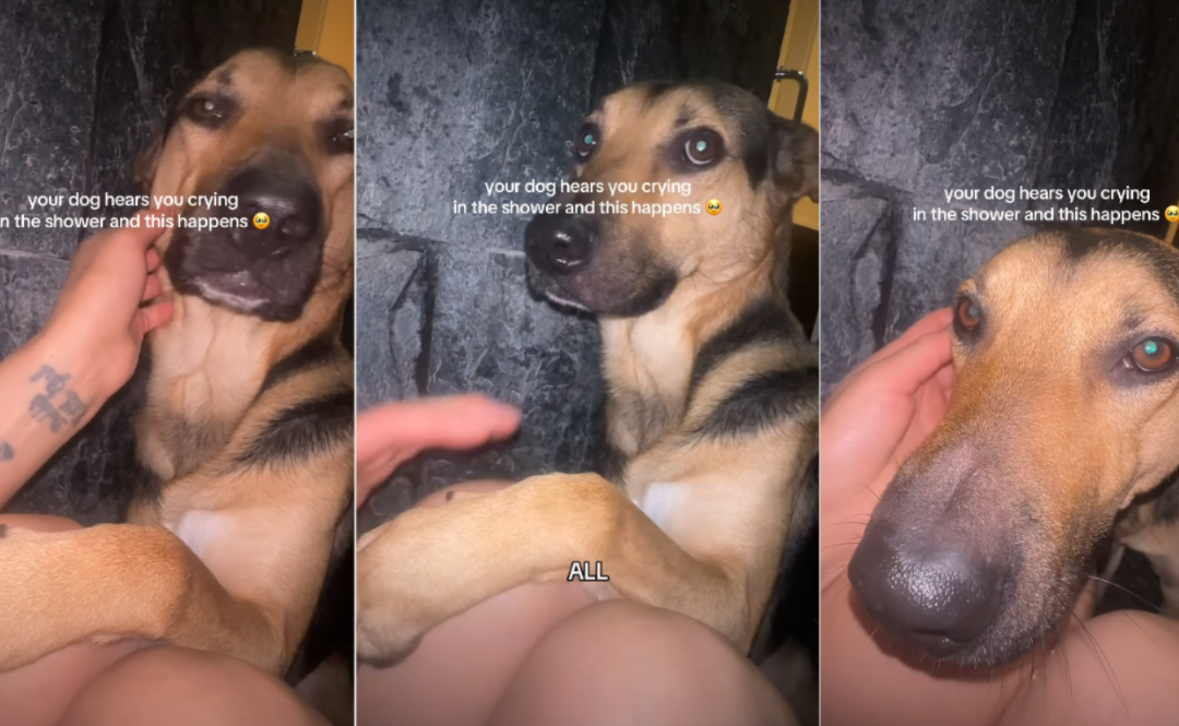 He Hates Baths… But What He Did When His Mom Cried Changed Everything