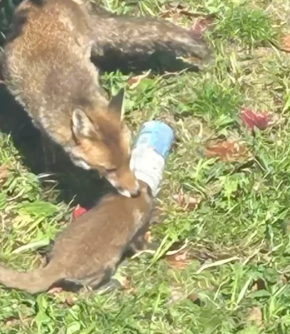 She Didn’t Leave Her Baby—She Stayed and Fought for Him