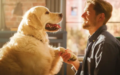 Is Your Dog Shy or Nervous? Here’s How to Build Their Confidence for Life