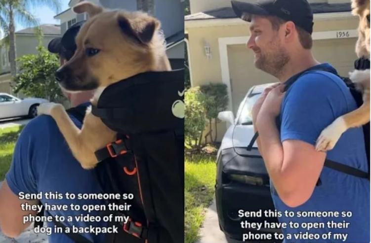 He Used to Struggle on the Streets… Now He Rides Through Town in a Backpack