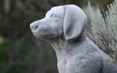 Healing After Pet Loss: Why Grief Is the Price of Great Love