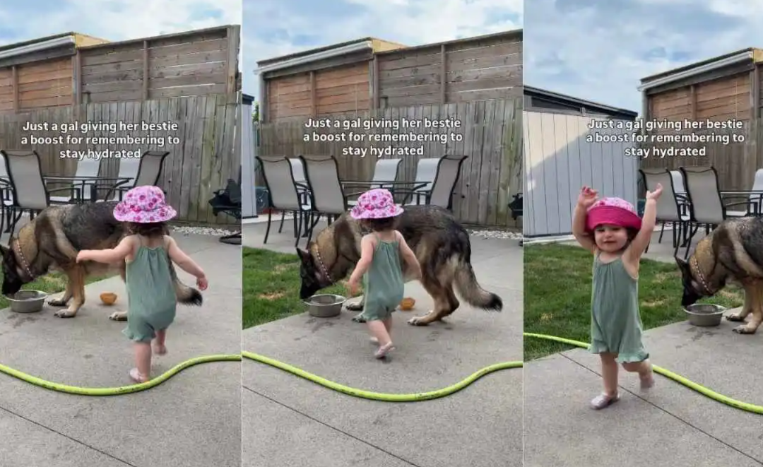 A Big Dog, a Little Girl, and the Sweetest Daily Ritual You’ll Ever See
