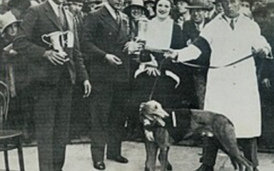 The Greyhound Who Became a Global Superstar: The Incredible Story of Mick the Miller