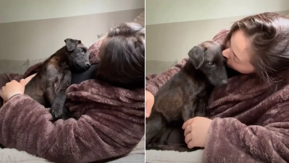 One Look From This Puppy And Everything About Her Life Changed