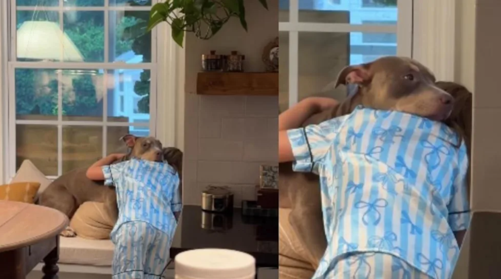 A House Full Of Dogs, Kids, And The Kind Of Love You Can Feel