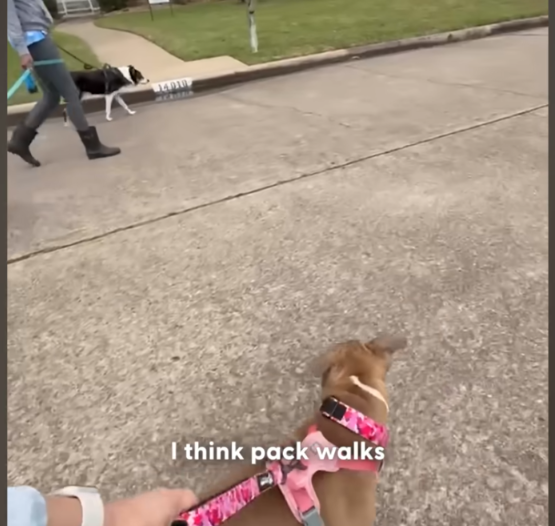 Everyone Wanted Her Gone After One Terrifying Mistake—But One Woman Refused to Give Up