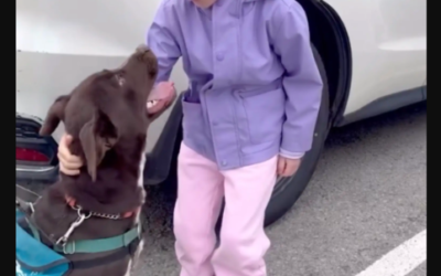 She Walked Into a Shelter… and Left With Her Best Friend