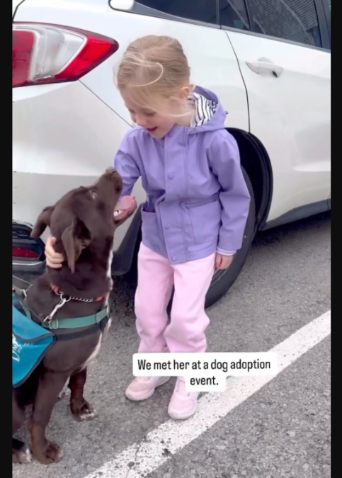 She Walked Into a Shelter… and Left With Her Best Friend
