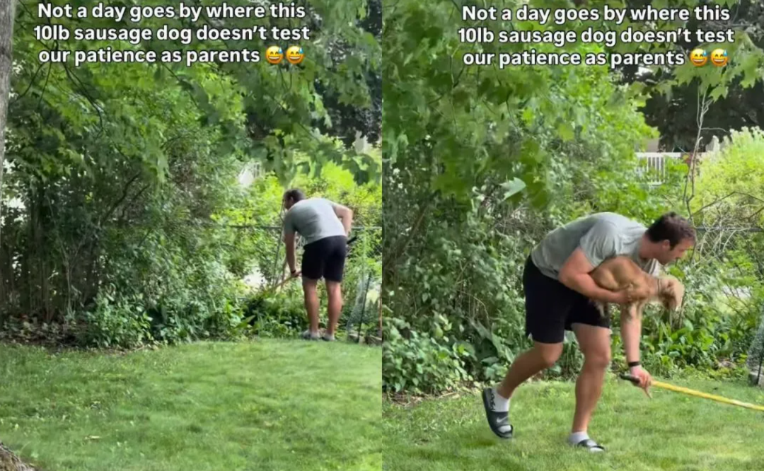 He Escapes… Then Comes Back Like Nothing Happened (Every Single Time)