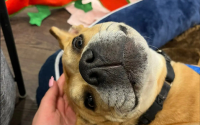 She Waited Her Whole Life for This Moment… Then It Finally Happened